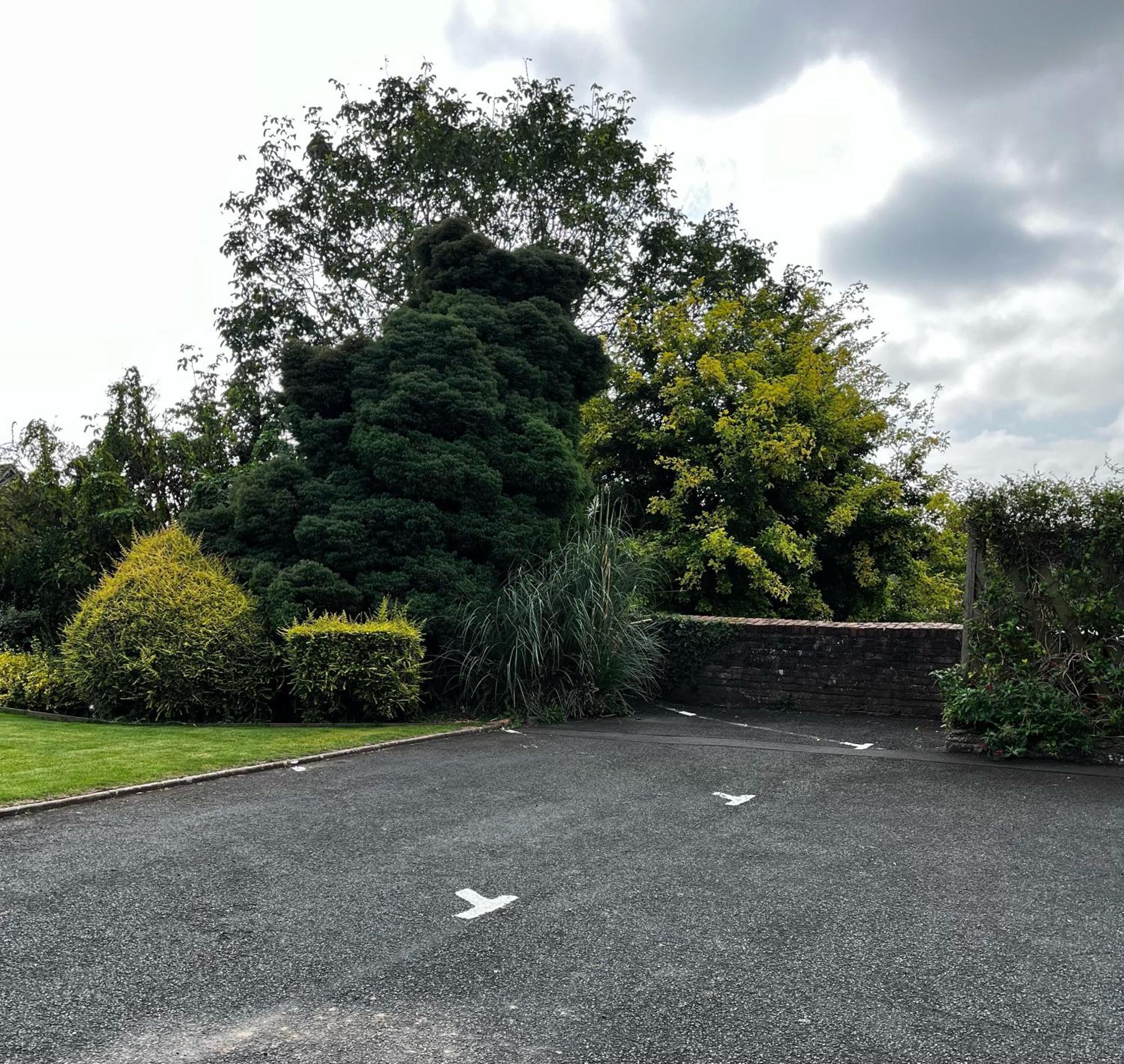 Flower Cottage By Ludlow Castle With Onsite Parking Экстерьер фото